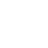 タケノコのヒミツ